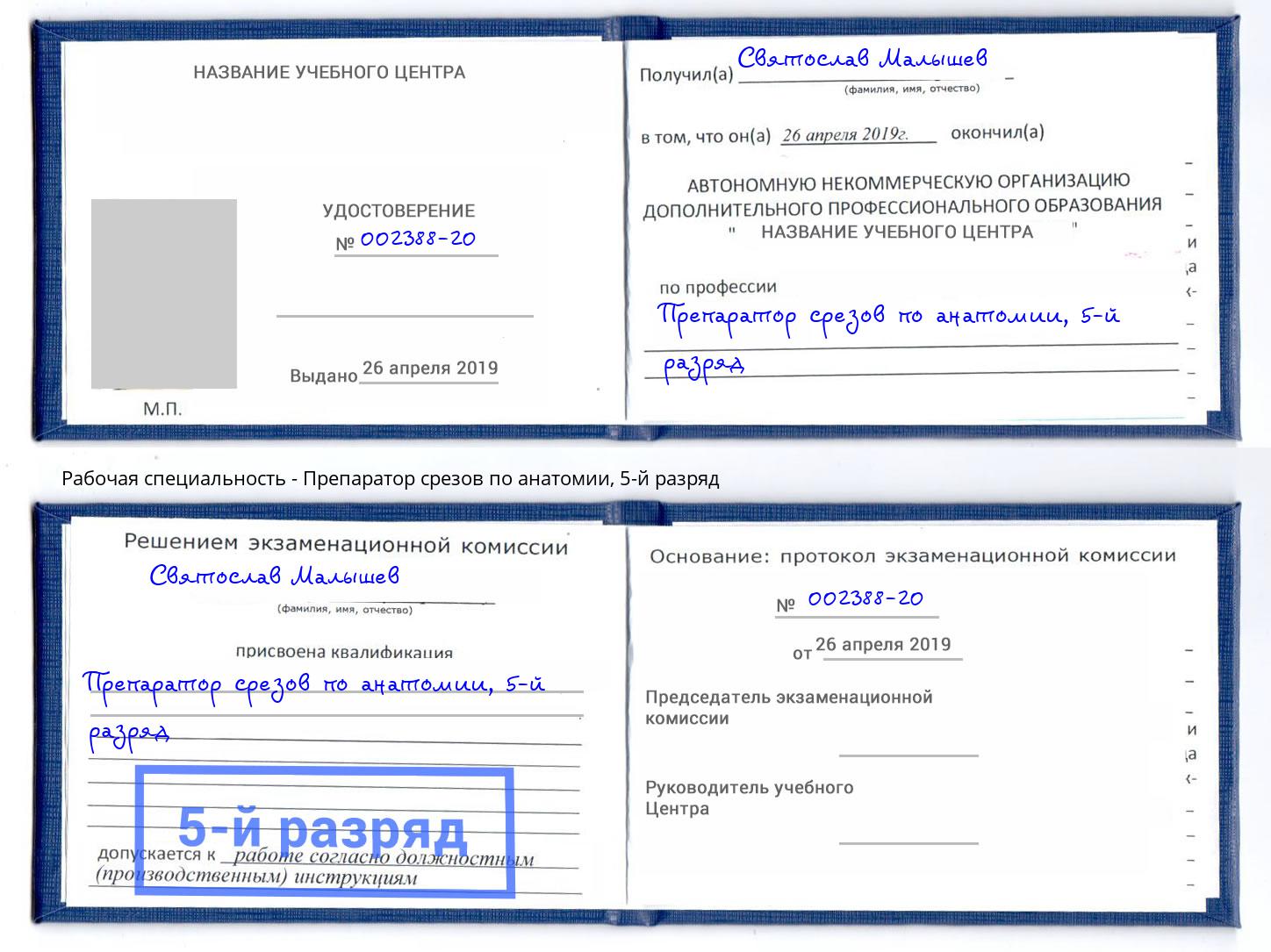 корочка 5-й разряд Препаратор срезов по анатомии Нижневартовск